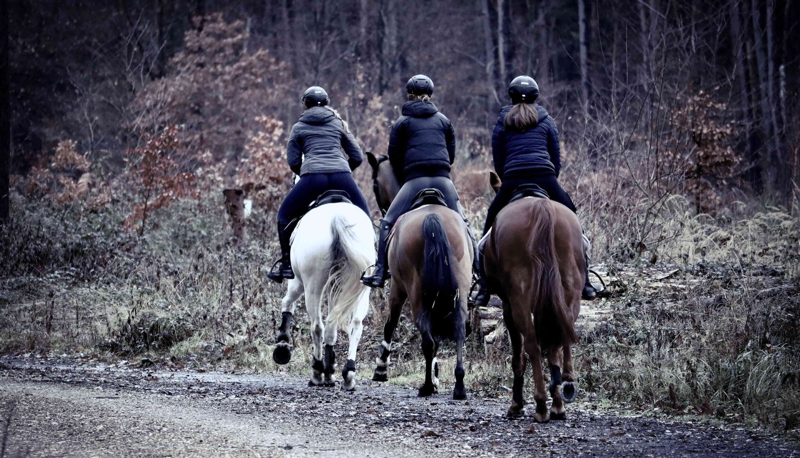Nepal on Horseback – An Adventure Beyond the Trails