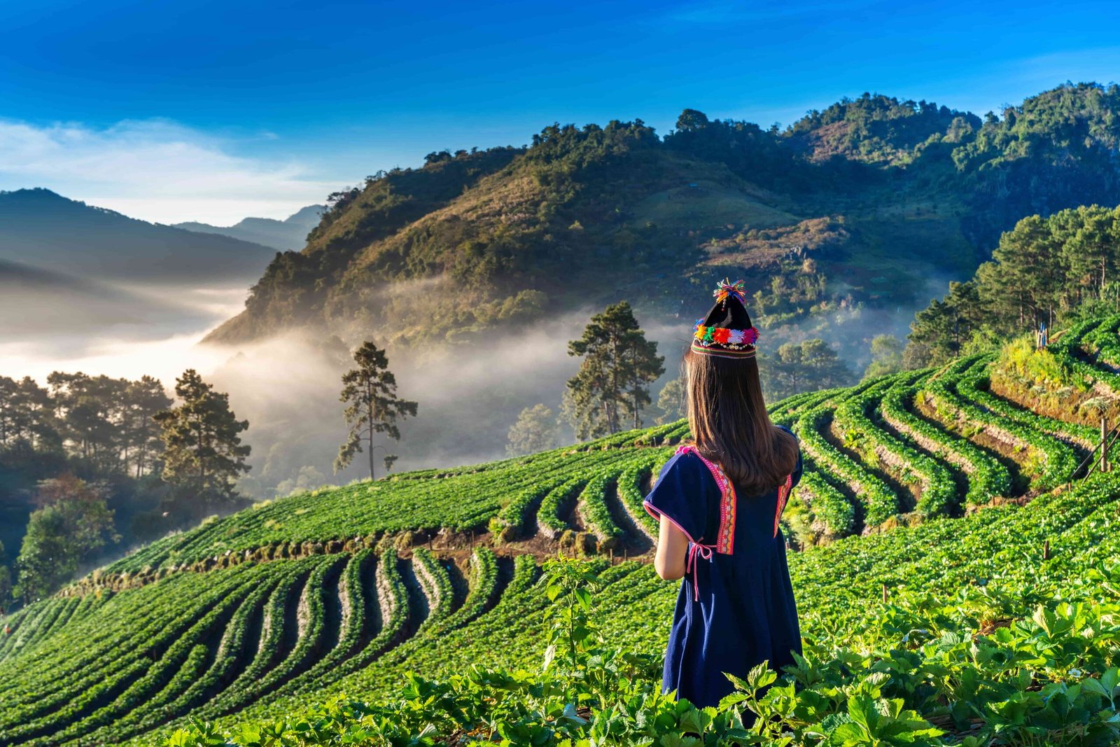 Serene Ceylon..